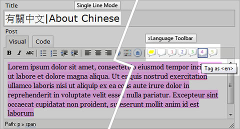 multilanguage-wordpress-plugin