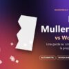 Matt Mullenweg vs WordPress: copertina dell'articolo sulla community di WordPress che si sgretola